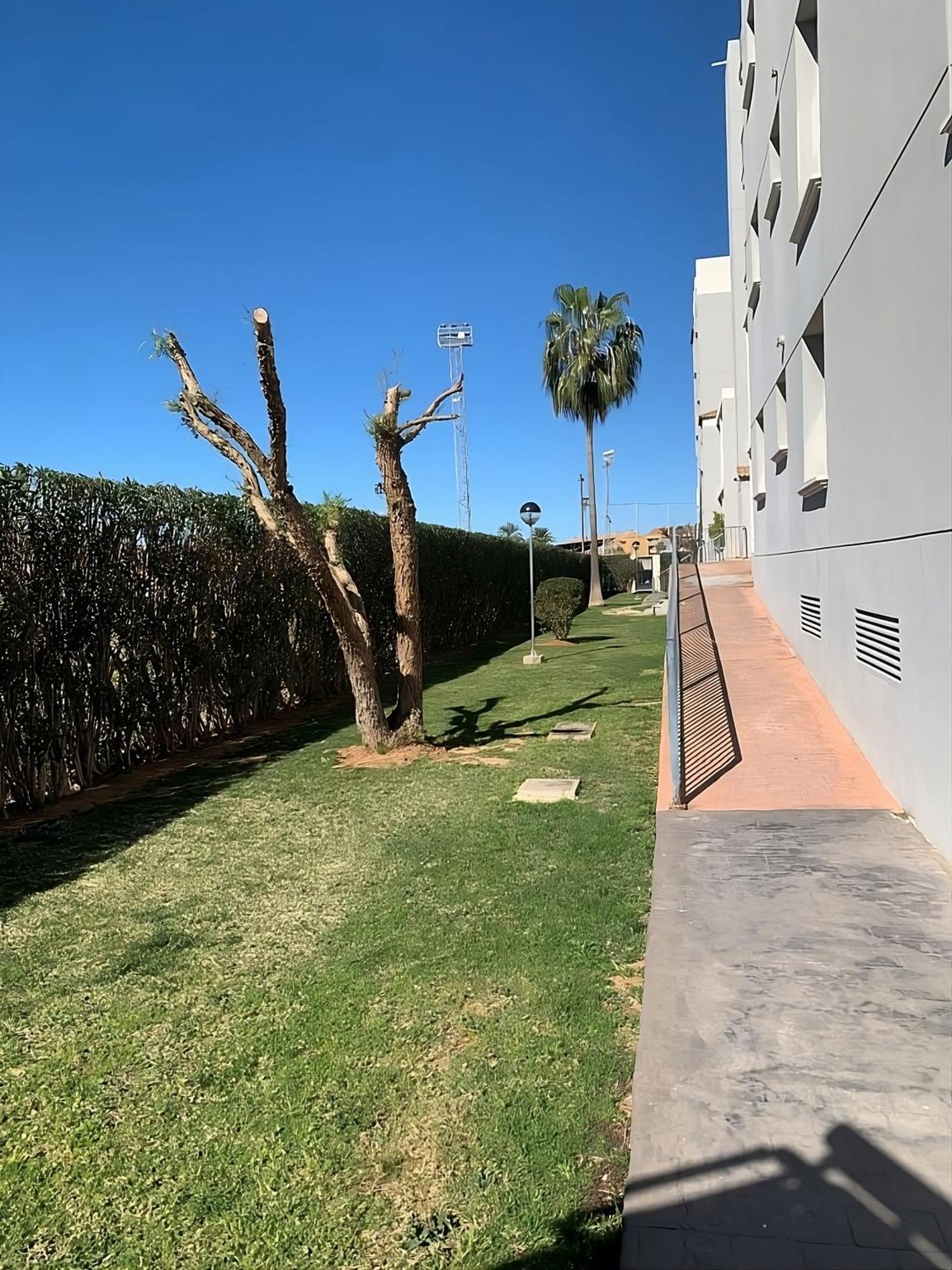 Prendisole Denia Con Piscina Y Terrazaアパートメント エクステリア 写真